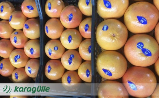 Muğla Ortaca Karagülle Ticaret